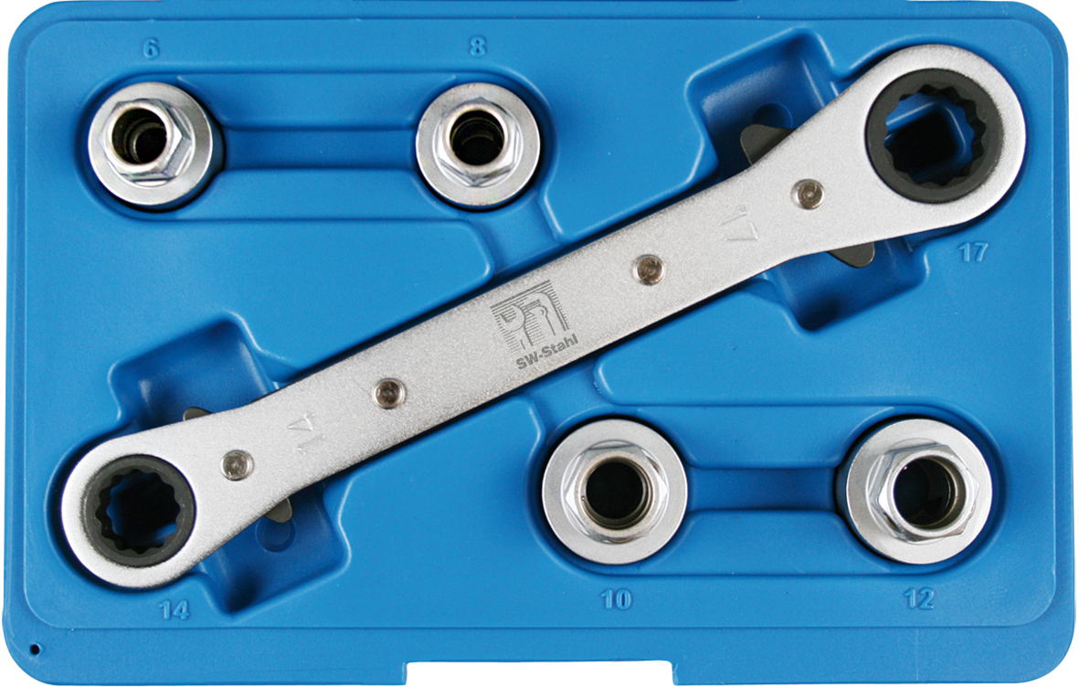 SW-STAHL 04169L Stehbolzen-Ausdrehsatz, 5-teilig