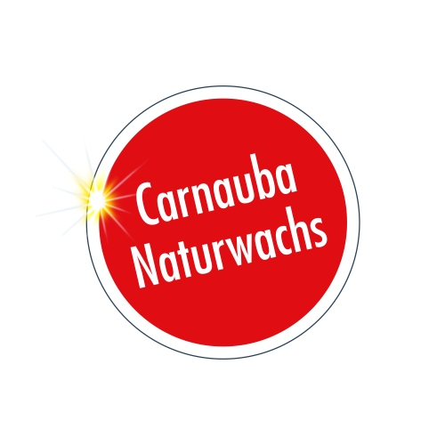 SONAX Wash+Wax Glanz Konservierung MultiSchwamm FlugrostEntferner Reinigung