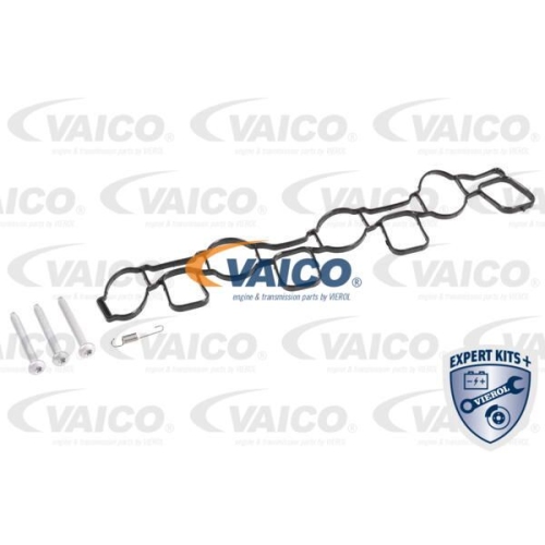 Saugrohrmodul VAICO V10-4439 EXPERT KITS + für SEAT SKODA VAG