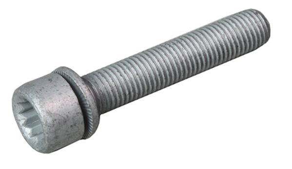 METZGER Schraube, Bremssattel 6250007S GREENPARTS f&uuml;r VAG, Hinterachse