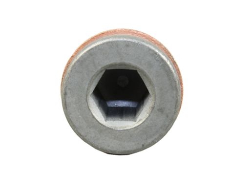 METZGER Verschlussschraube, &Ouml;lwanne 8030054 f&uuml;r SEAT VW