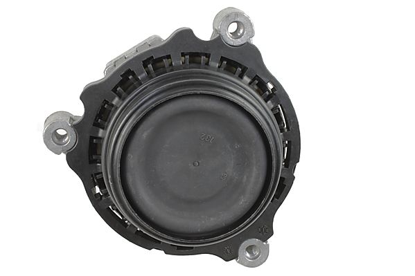 Lagerung, Motor METZGER 8053809 f&uuml;r BMW, links