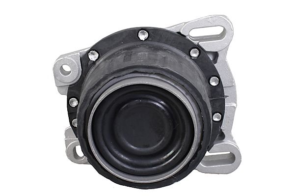 METZGER Lagerung, Motor 8053842 f&uuml;r FORD, links, rechts