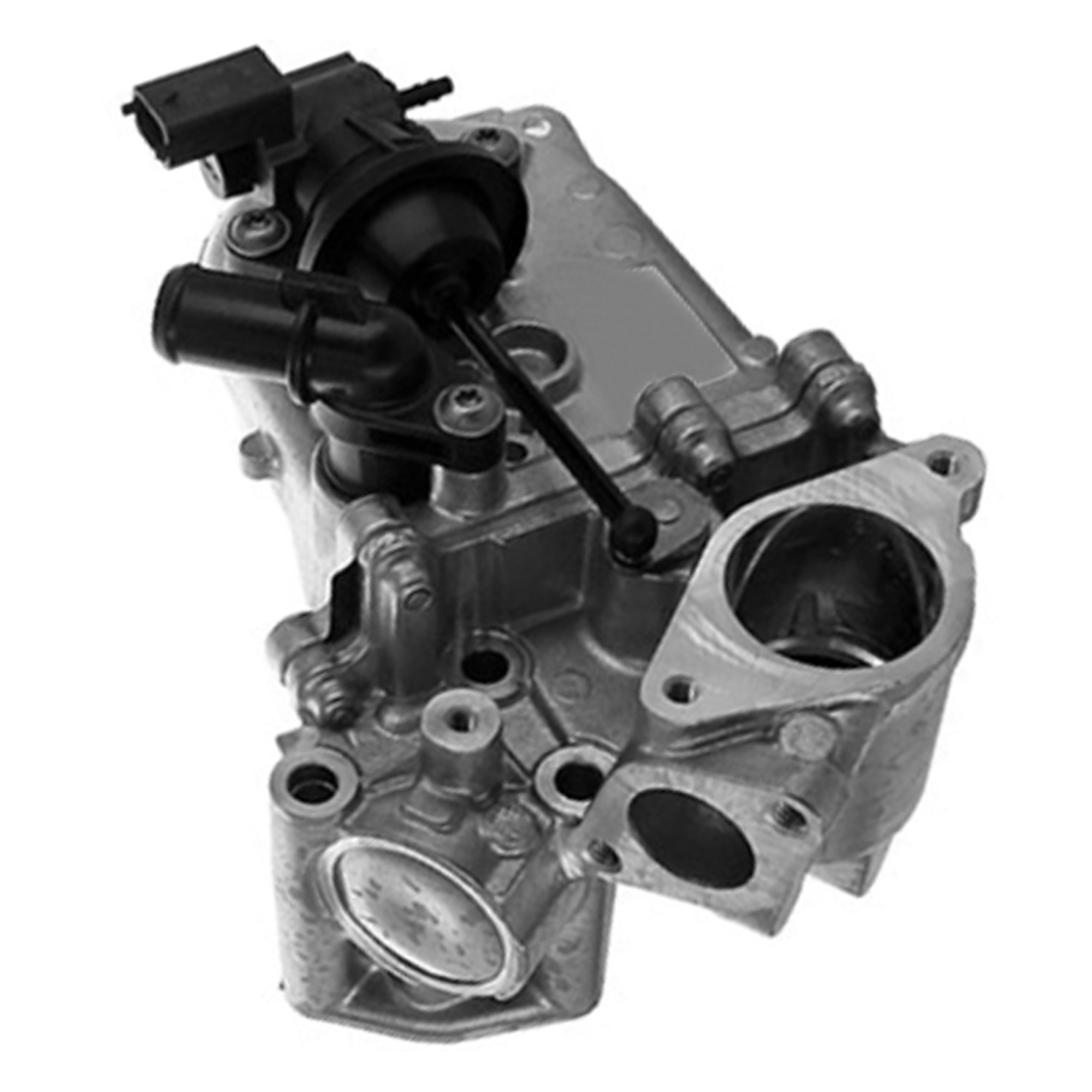 PartsTec PTA510-0804 K&uuml;hler, Abgasr&uuml;ckf&uuml;hrung f&uuml;r ALFA ROMEO FIAT FORD OPEL