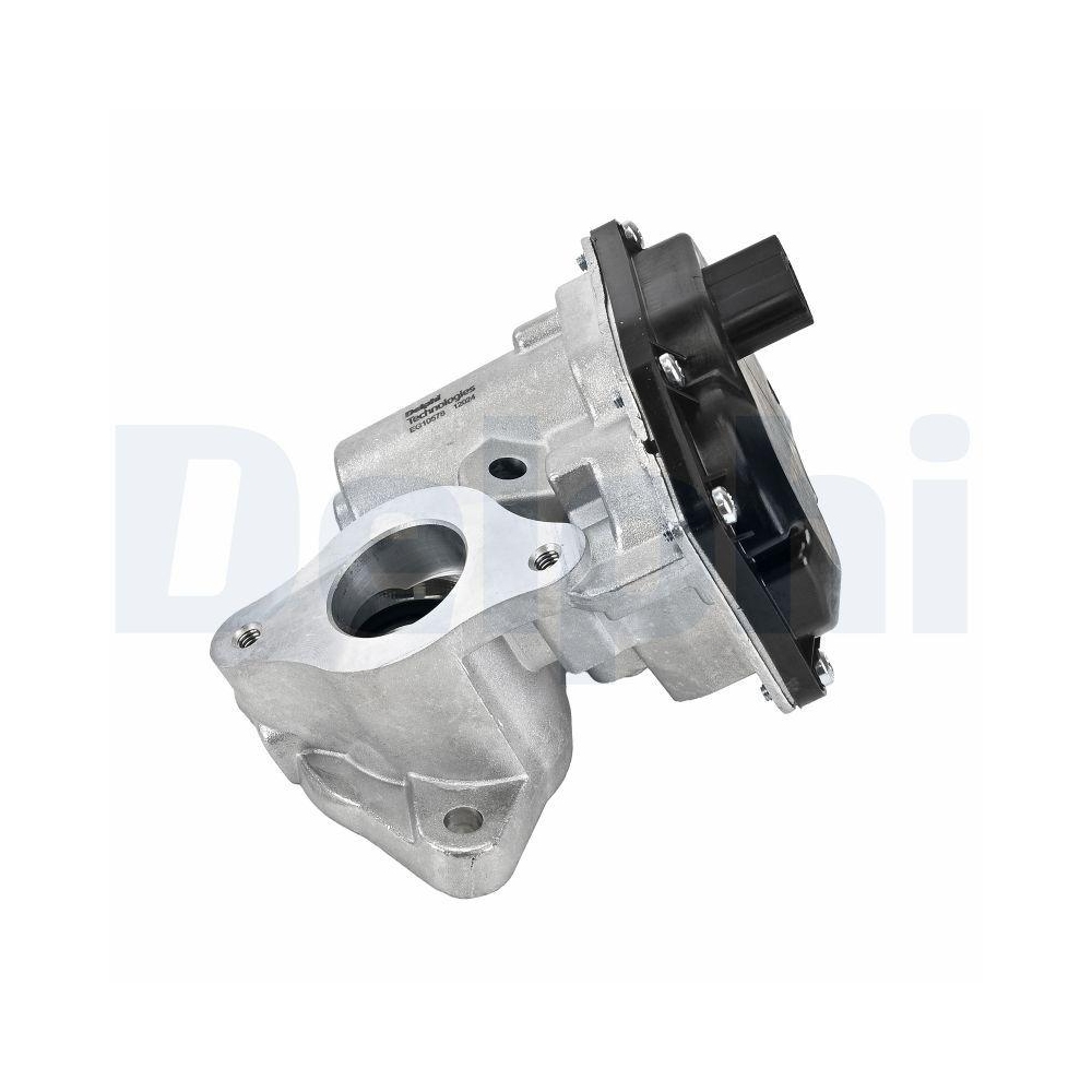 DELPHI EG10578-12B1 AGR-Ventil f&uuml;r RENAULT DACIA, unten