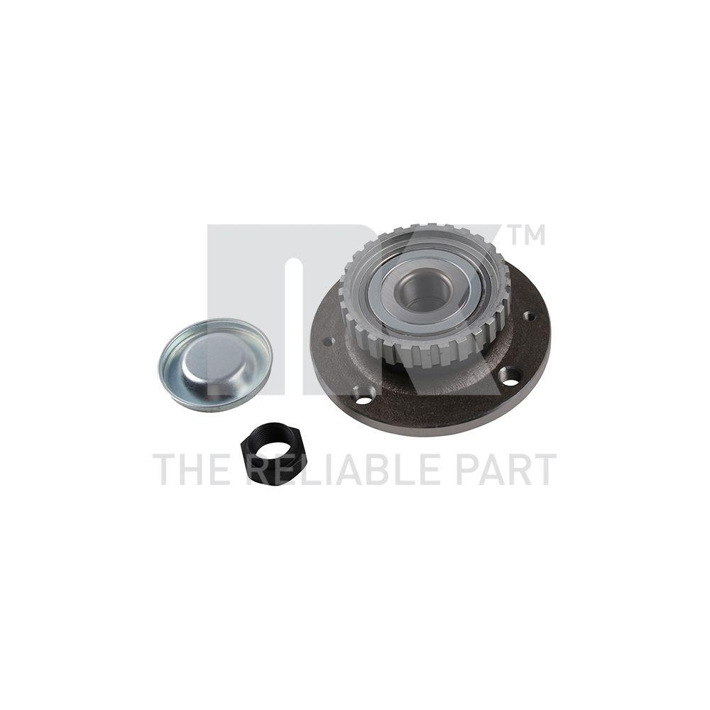 Radlagersatz NK 761916 für CITROËN PEUGEOT, Hinterachse