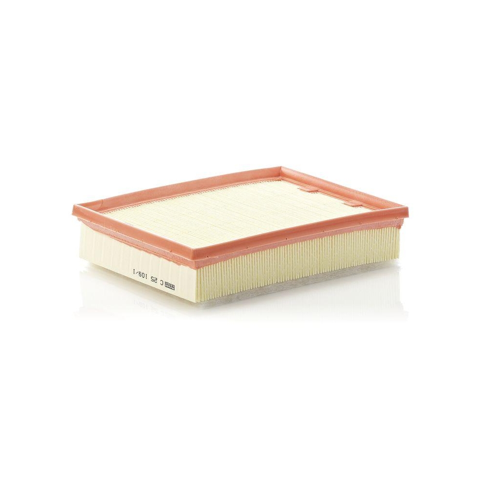 Luftfilter MANN-FILTER C 25 109/1 f&uuml;r RENAULT