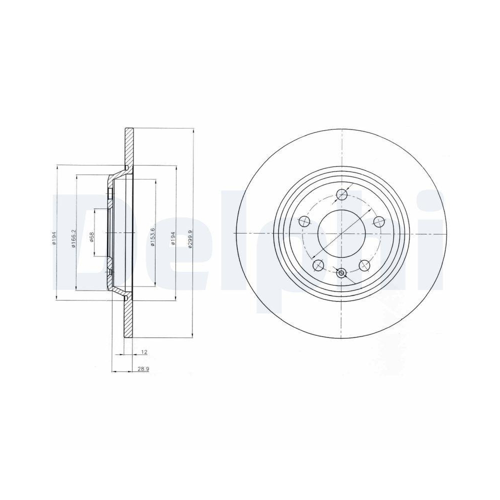 DELPHI BG4081C 2 St&uuml;ck Bremsscheiben f&uuml;r AUDI SEAT SKODA VW AUDI (FAW), Hinterachse