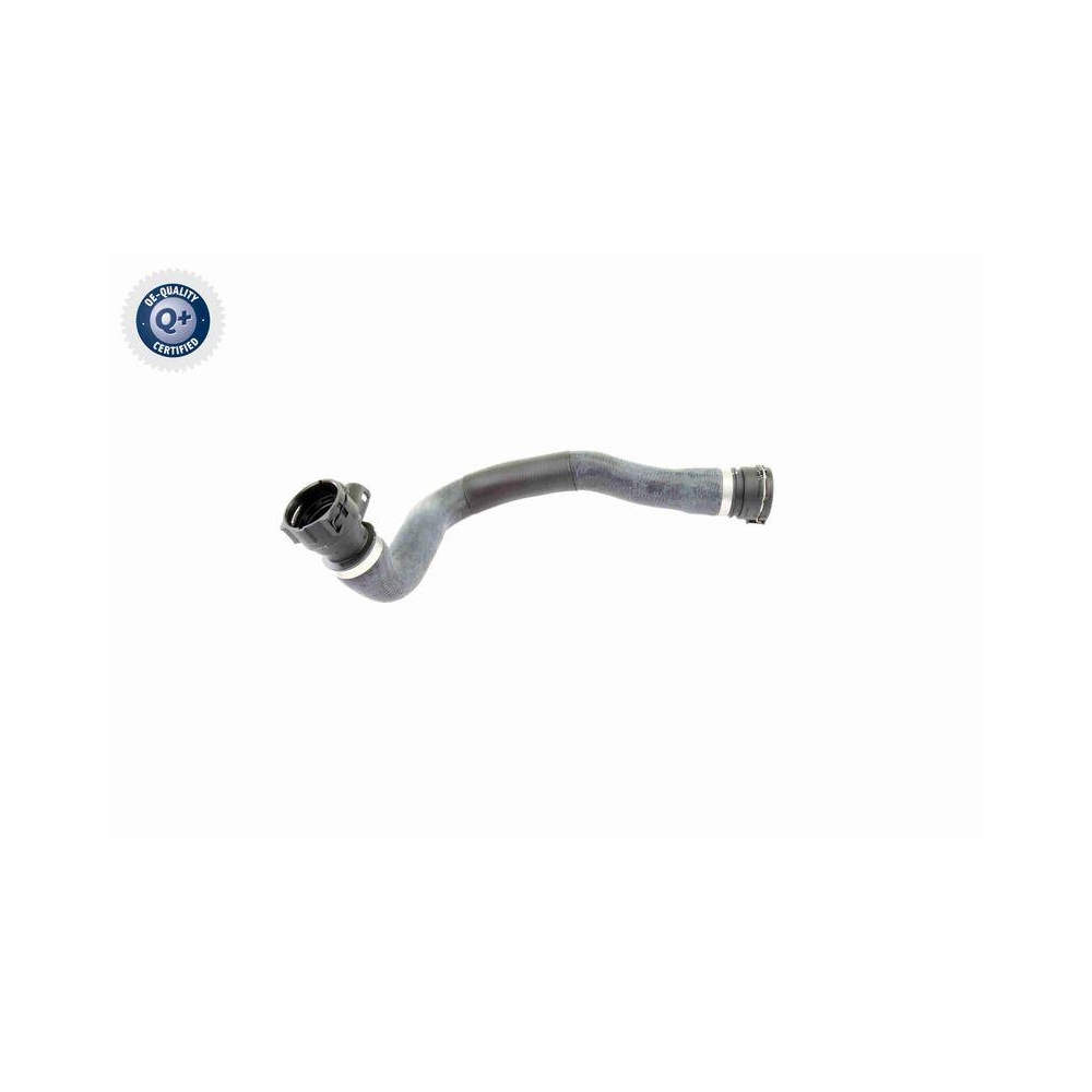 K&uuml;hlerschlauch VAICO V20-0873 Q+, Erstausr&uuml;sterqualit&auml;t f&uuml;r BMW, unten