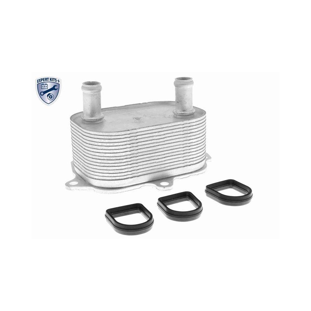 Ölkühler, Motoröl VEMO V15-60-6091 EXPERT KITS + für VW VAG