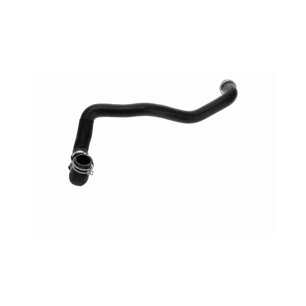 VAICO V46-1976 K&uuml;hlerschlauch Original VAICO Qualit&auml;t f&uuml;r RENAULT, unten