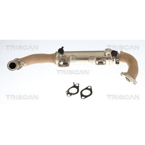 TRISCAN 8813 10059 K&uuml;hler, Abgasr&uuml;ckf&uuml;hrung f&uuml;r ALFA ROMEO FIAT OPEL SAAB