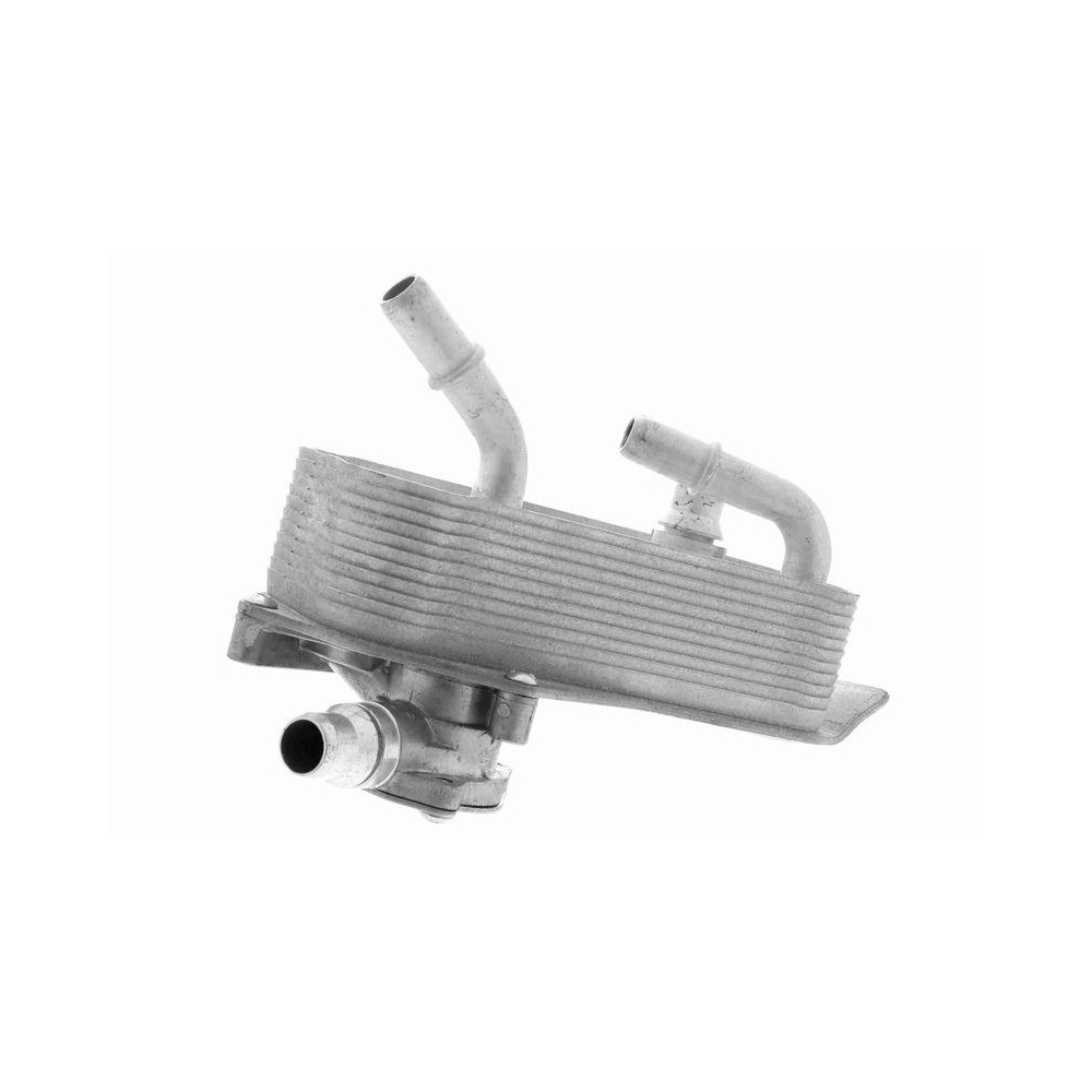 &Ouml;lk&uuml;hler, Automatikgetriebe VEMO V20-60-1552 Original VEMO Qualit&auml;t f&uuml;r BMW