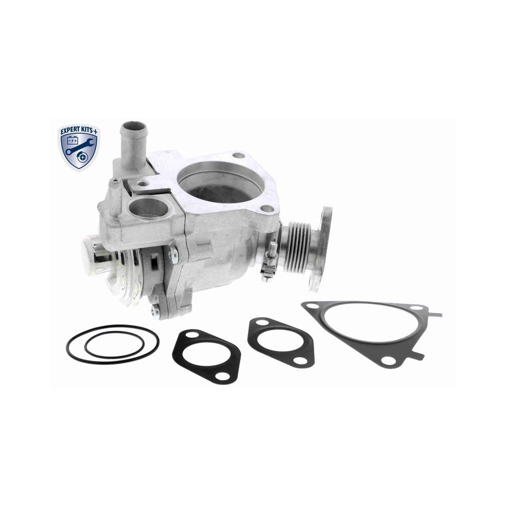 AGR-Ventil VEMO V24-63-0008 EXPERT KITS + f&uuml;r ALFA ROMEO CITRO&Euml;N FIAT IVECO