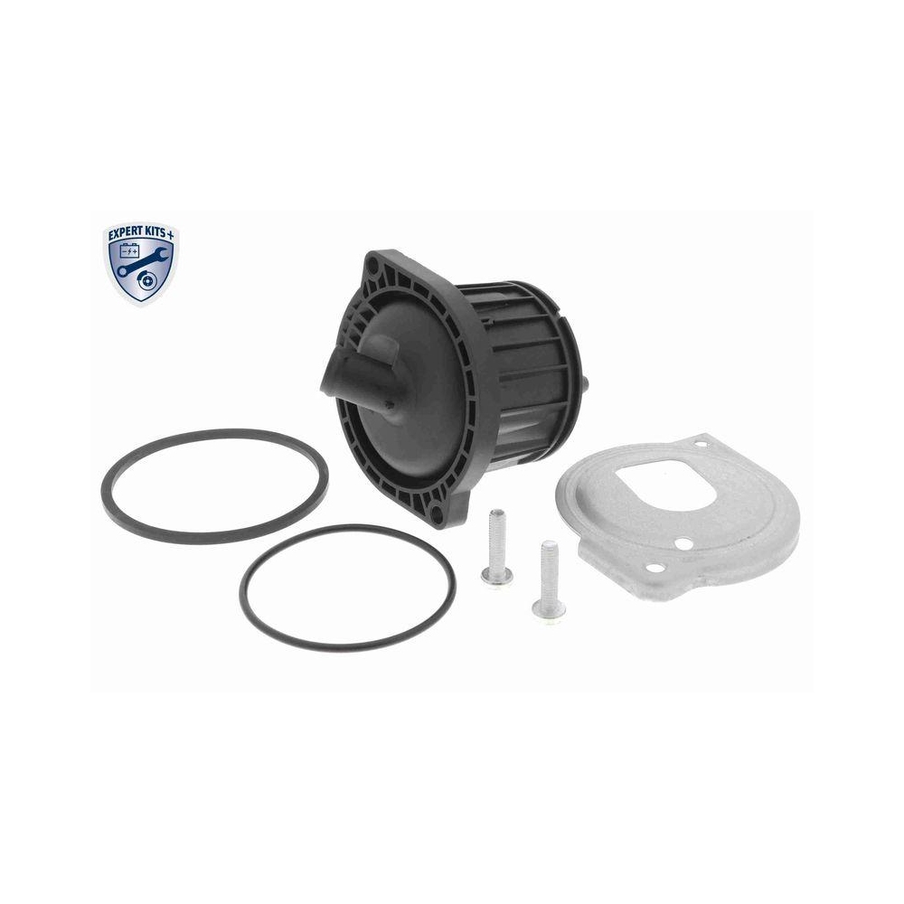 &Ouml;labscheider, Kurbelgeh&auml;useentl&uuml;ftung VAICO V10-4341 EXPERT KITS + f&uuml;r SEAT VW
