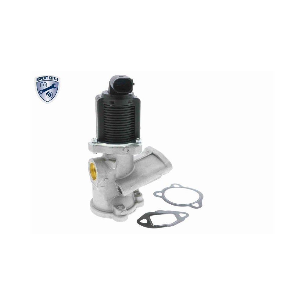 AGR-Ventil VEMO V24-63-0011 EXPERT KITS + für ALFA ROMEO FIAT LANCIA OPEL