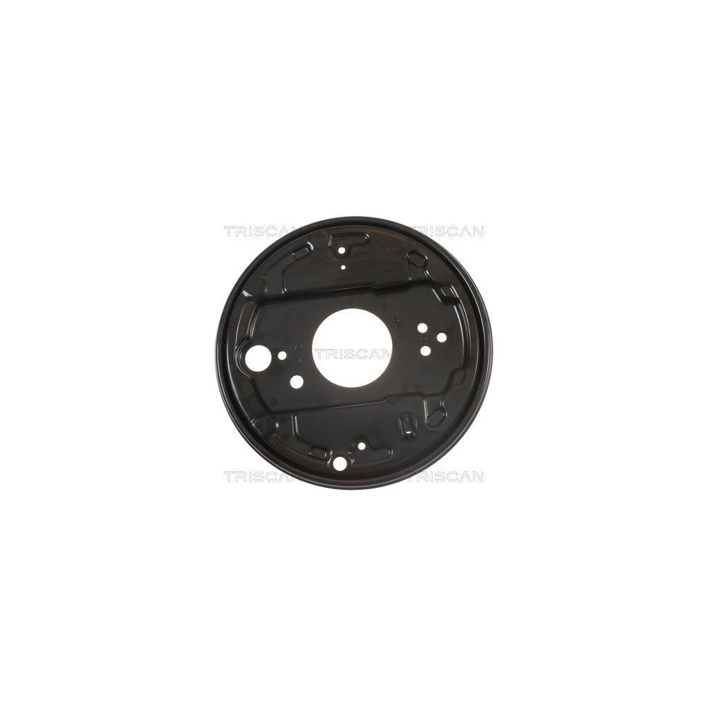 Spritzblech, Bremsscheibe TRISCAN 8125 29261 f&uuml;r VW, Hinterachse rechts