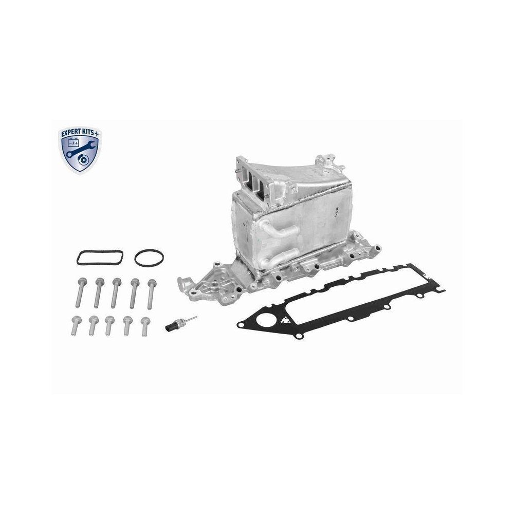 Ladeluftk&uuml;hler VEMO V10-60-0082 EXPERT KITS + f&uuml;r AUDI SEAT SKODA VW VAG