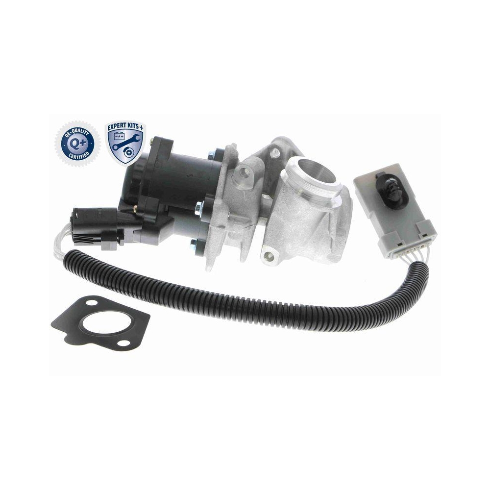 AGR-Ventil VEMO V25-63-0009 EXPERT KITS + f&uuml;r FORD VOLVO