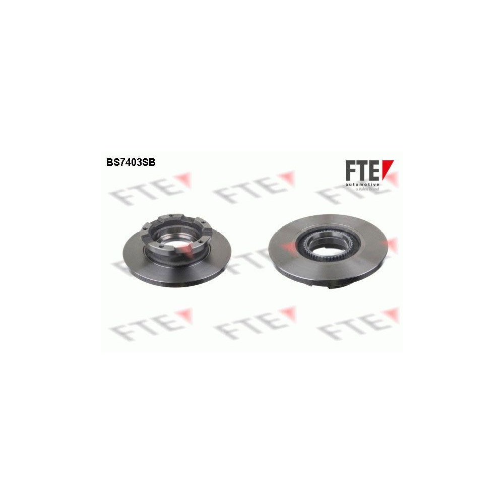 Bremsscheibe FTE BS7403SB f&uuml;r FORD, Hinterachse