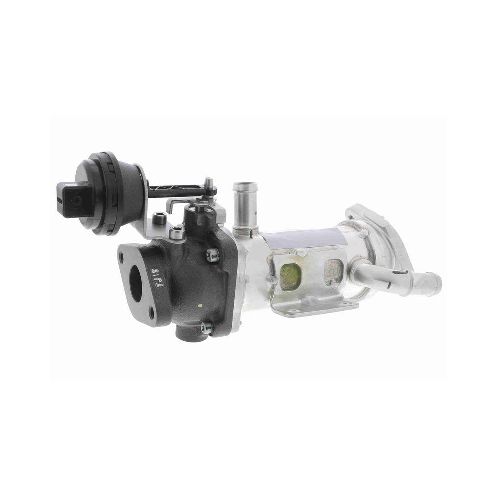 Kühler, Abgasrückführung VEMO V42-63-0015 Q+, Erstausrüsterqualität für RENAULT