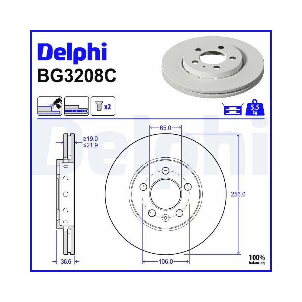 DELPHI BG3208C 2 St&uuml;ck Bremsscheiben f&uuml;r AUDI SEAT SKODA VW VW (FAW) VW (SVW) SKODA (SVW)
