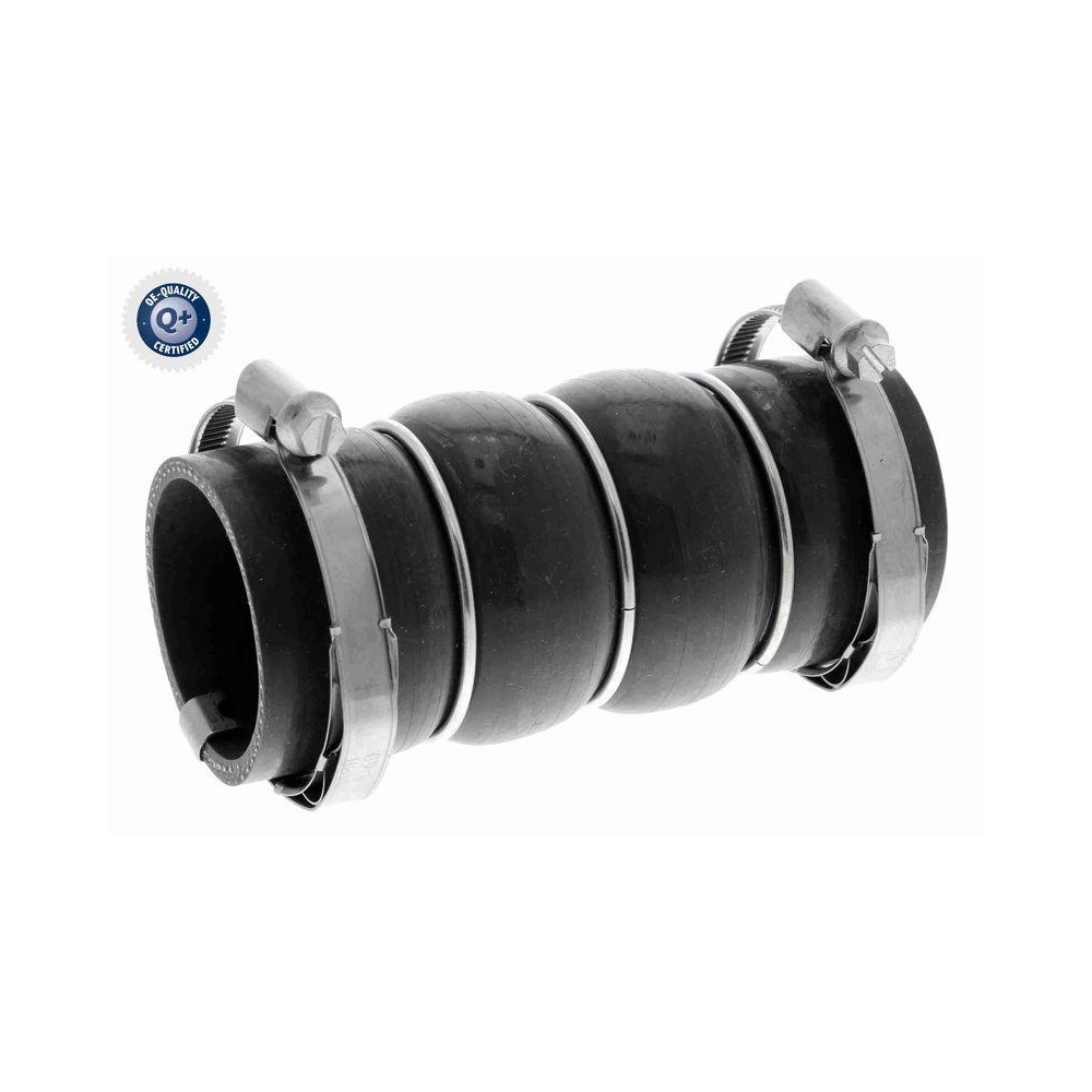 Ladeluftschlauch VAICO V42-0581 Q+, Erstausrüsterqualität für PEUGEOT
