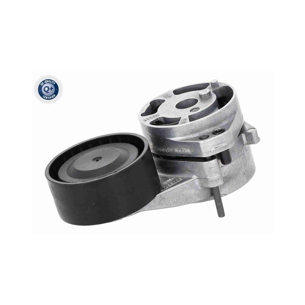 Riemenspanner, Keilrippenriemen VAICO V10-8919 Q+, Erstausr&uuml;sterqualit&auml;t f&uuml;r VW