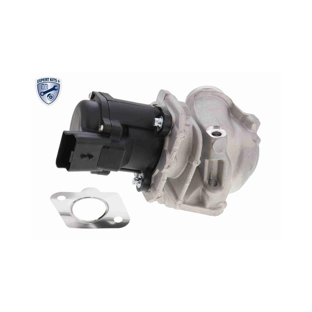 AGR-Ventil VEMO V42-63-0002 EXPERT KITS + f&uuml;r ALFA ROMEO CITRO&Euml;N FIAT FORD VOLVO