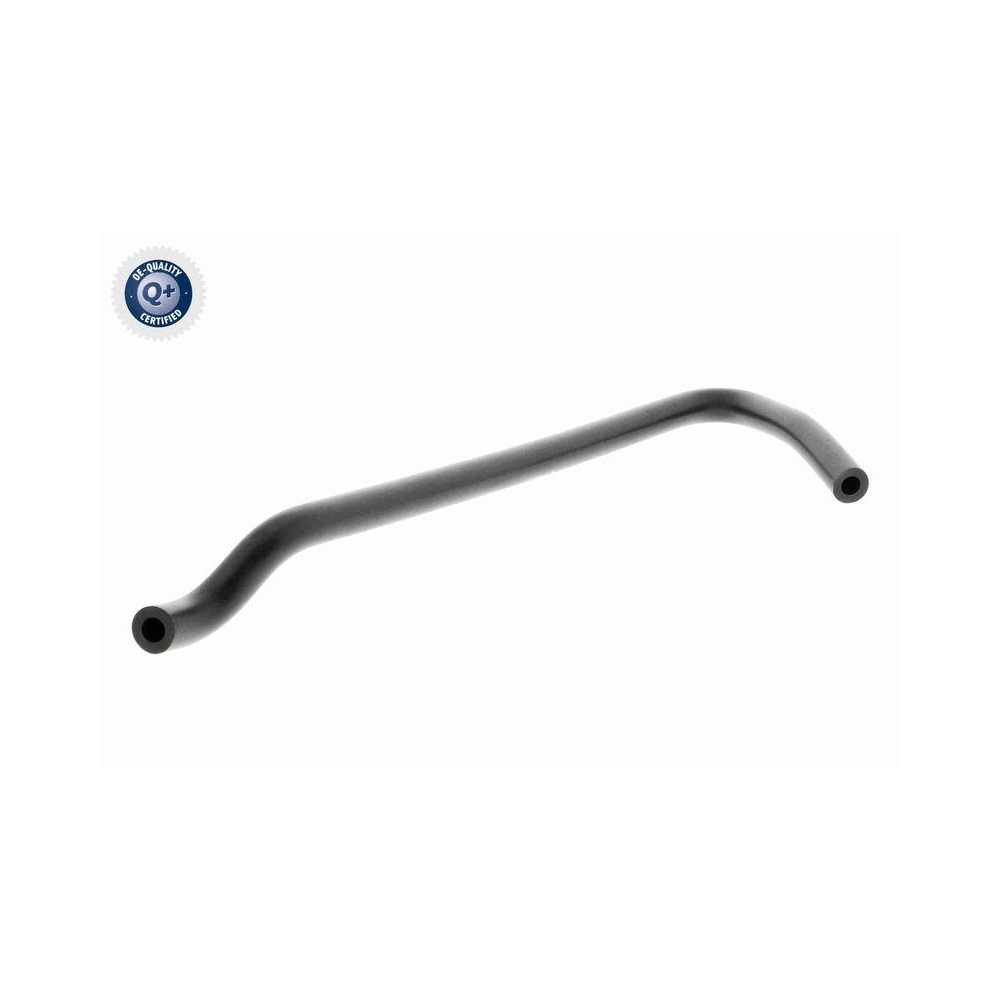 Kühlerschlauch VAICO V20-2948 Q+, Erstausrüsterqualität für MINI, Auslassseite