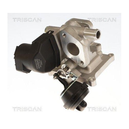 TRISCAN 8813 27106 AGR-Ventil f&uuml;r VOLVO