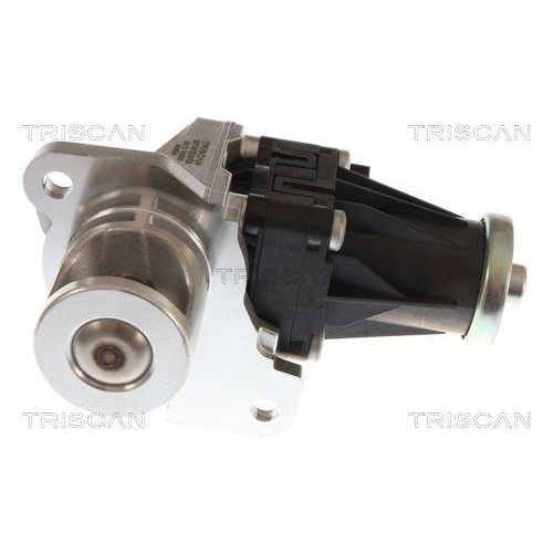 TRISCAN 8813 10060 AGR-Ventil f&uuml;r MERCEDES-BENZ NISSAN RENAULT DACIA INFINITI