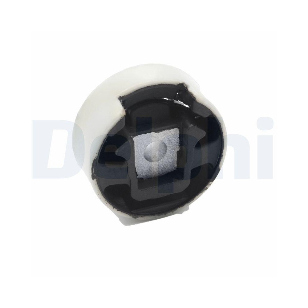 DELPHI TEM122 Lagerung, Motor für AUDI SEAT SKODA VW, hinten, karosserieseitig
