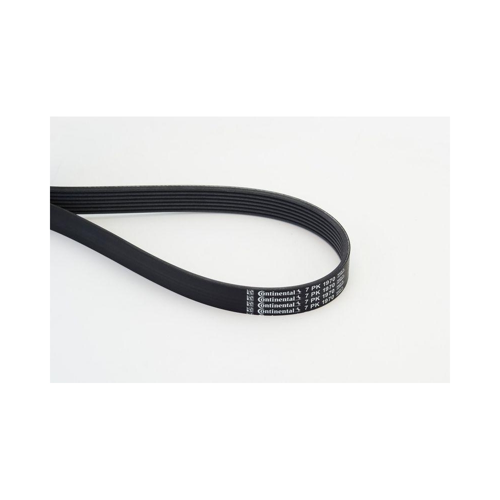Keilrippenriemen CONTINENTAL CTAM 7PK1970 für MERCEDES-BENZ NISSAN OPEL RENAULT