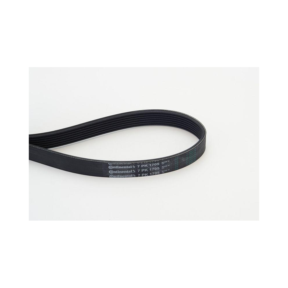 Keilrippenriemen CONTINENTAL CTAM 7PK1705 für DAF NISSAN RENAULT HYUNDAI KIA