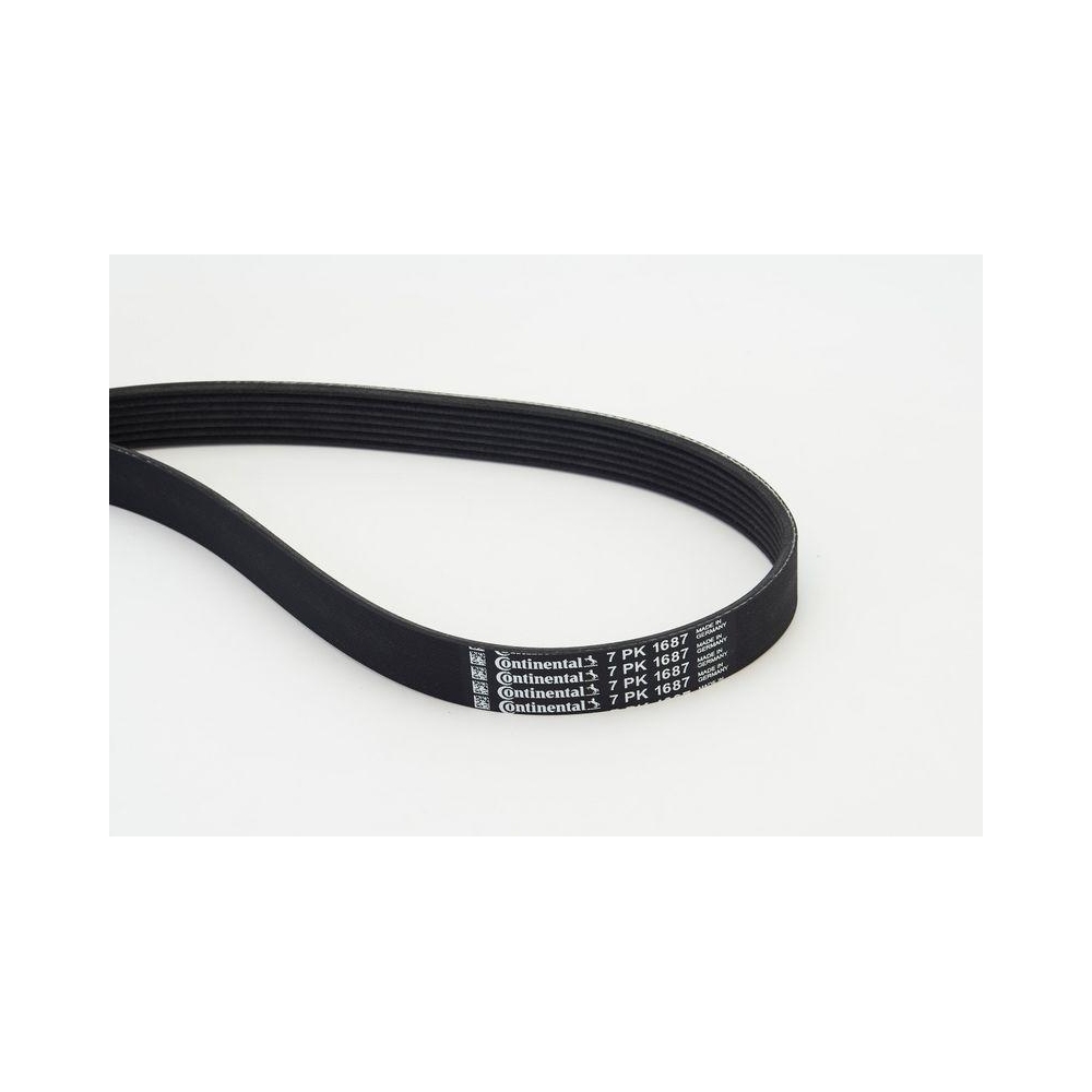 Keilrippenriemen CONTINENTAL CTAM 7PK1687 für HONDA MERCEDES-BENZ NISSAN OPEL