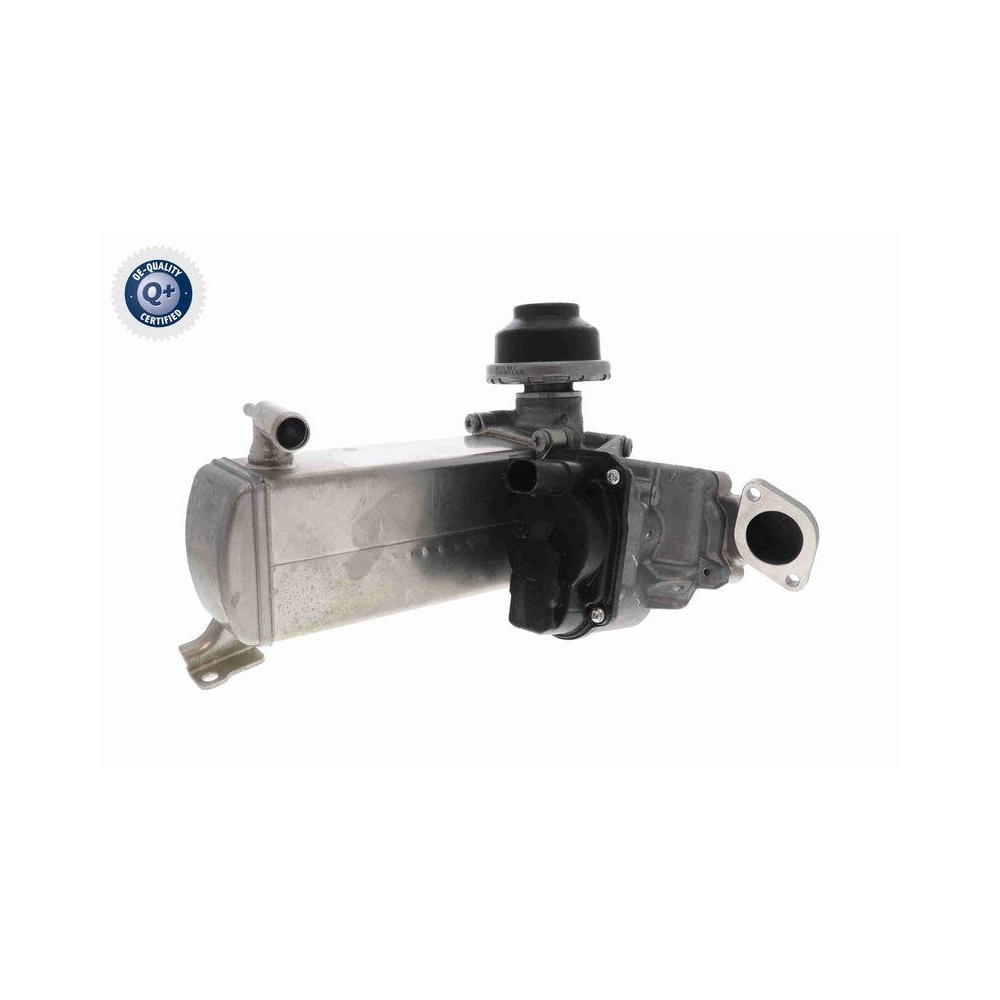 AGR-Modul VEMO V10-63-0119 Q+, Erstausr&uuml;sterqualit&auml;t f&uuml;r AUDI SKODA VW VAG