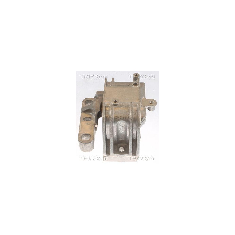 Lagerung, Motor TRISCAN 8505 29125 f&uuml;r AUDI SEAT SKODA VW, rechts