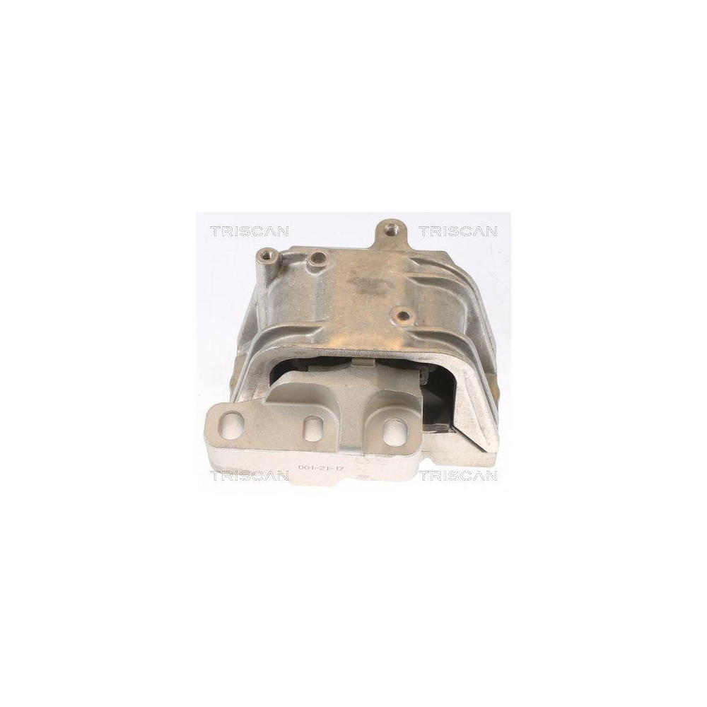 Lagerung, Motor TRISCAN 8505 29127 f&uuml;r AUDI SEAT SKODA VW, rechts