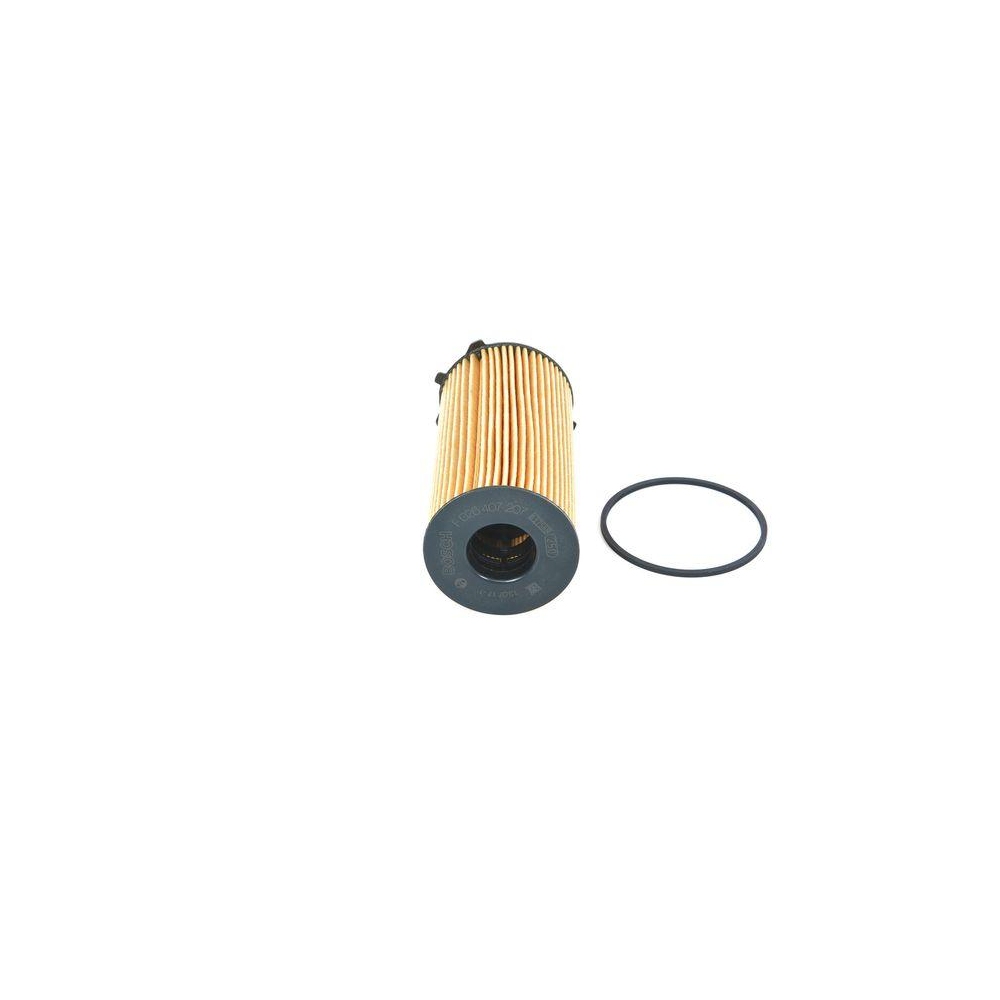 &Ouml;lfilter BOSCH F 026 407 207 f&uuml;r CHRYSLER DODGE FIAT JEEP VM