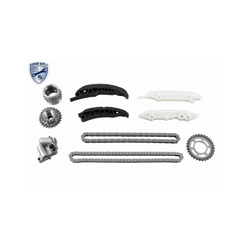Steuerkettensatz VAICO V20-10010 EXPERT KITS + für BMW, oben, unten