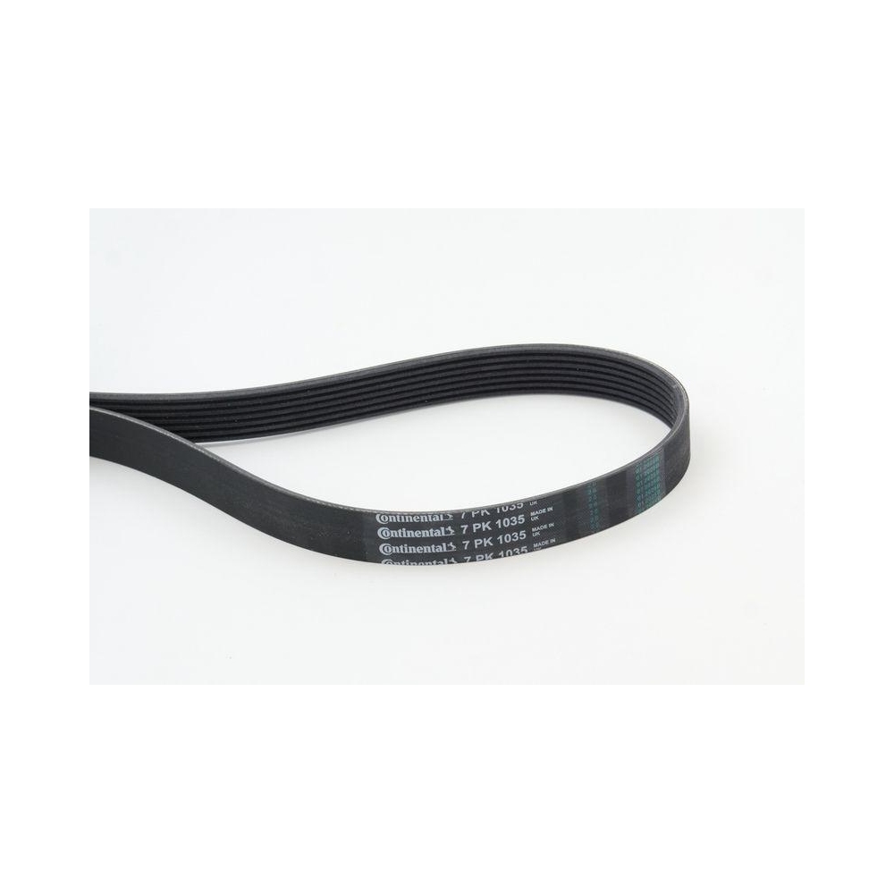 Keilrippenriemen CONTINENTAL CTAM 7PK1035 für BMW NISSAN RENAULT INFINITI