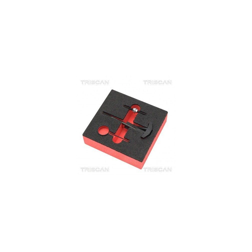 Werkzeug TRISCAN 8655 6016 für