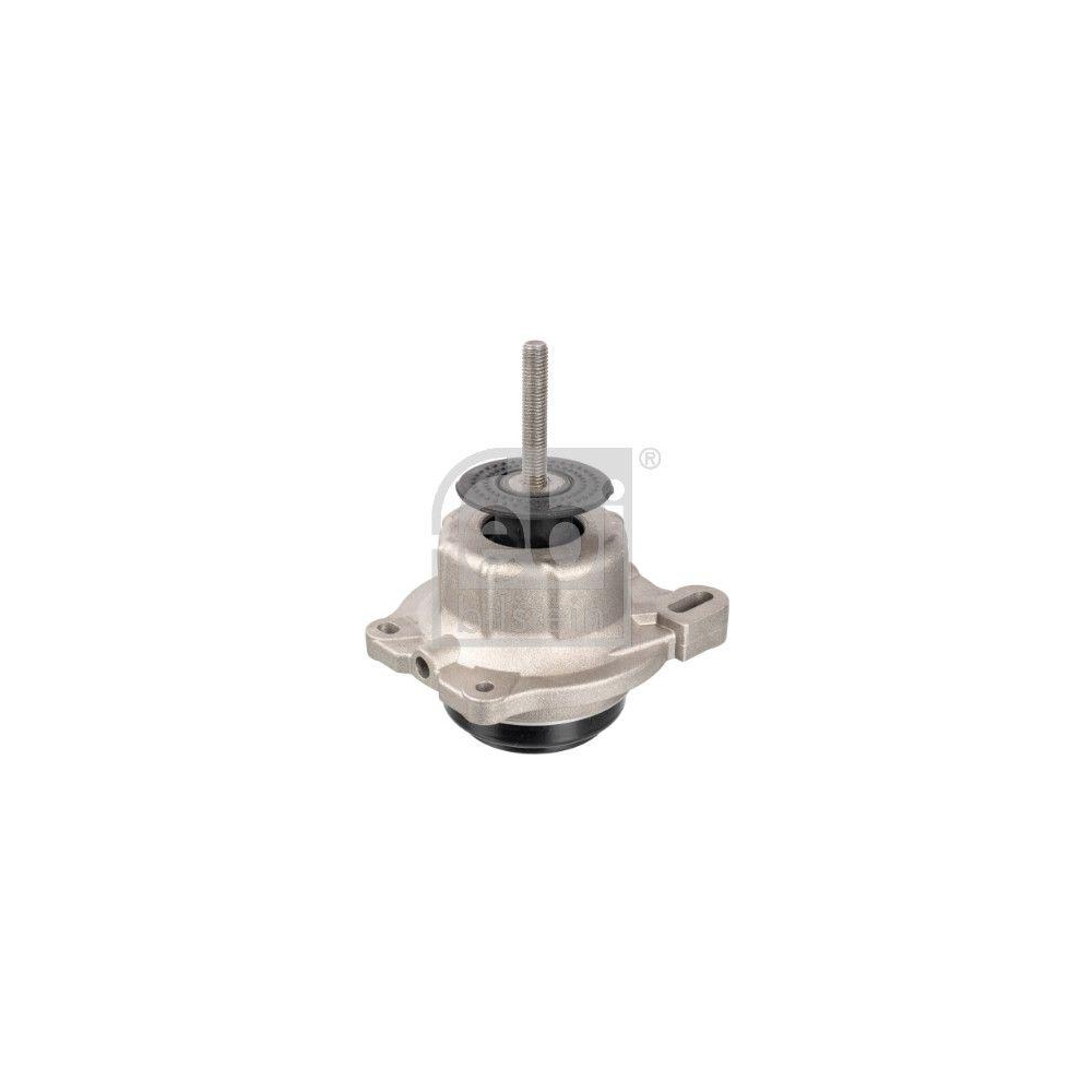 FEBI BILSTEIN Lagerung, Motor 171310 f&uuml;r FORD FORD MOTOR COMPANY, beidseitig