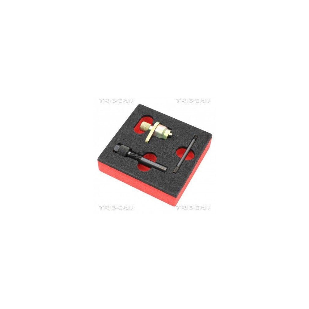 Werkzeug TRISCAN 8655 6020 für