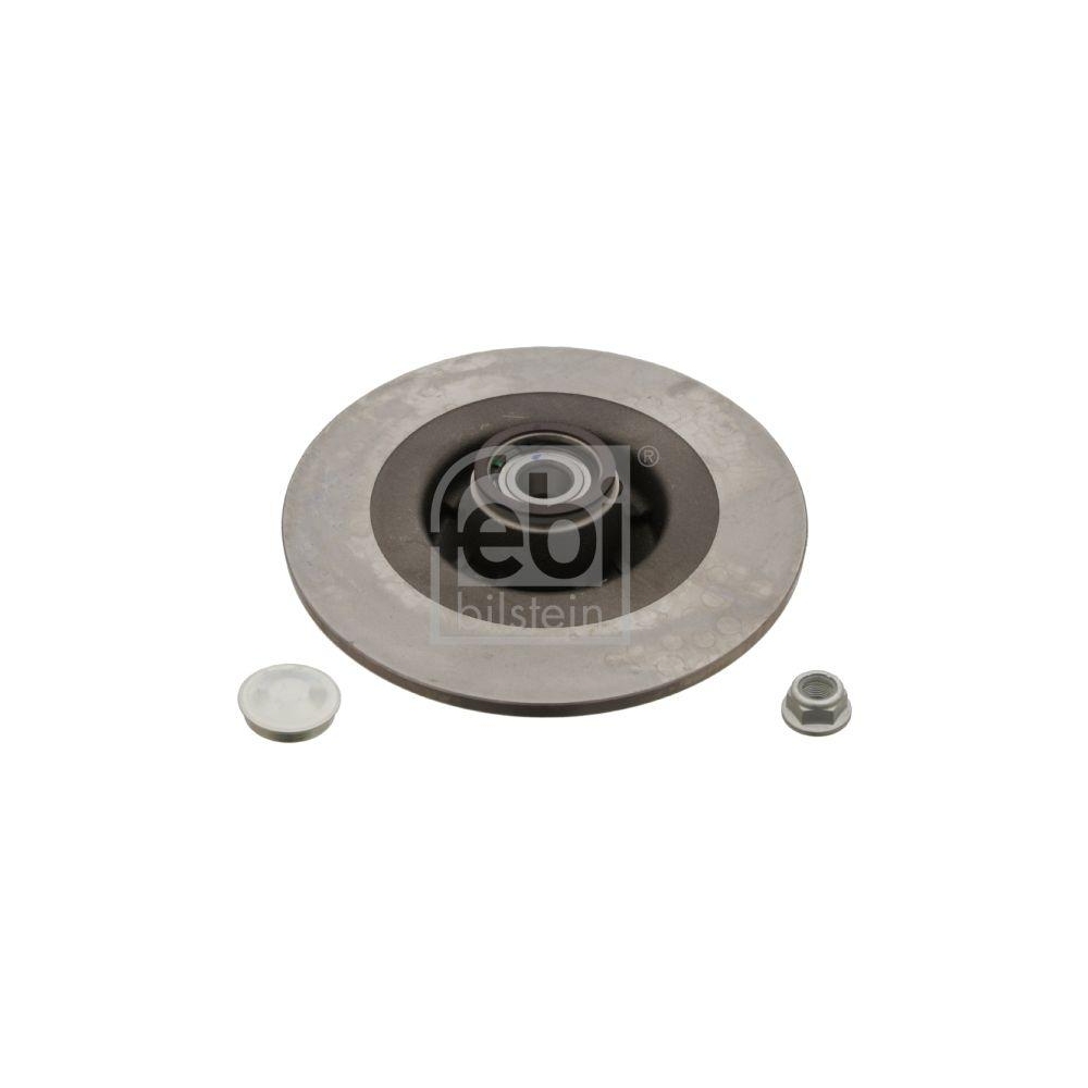 Bremsscheibe FEBI BILSTEIN 28155 für RENAULT, Hinterachse