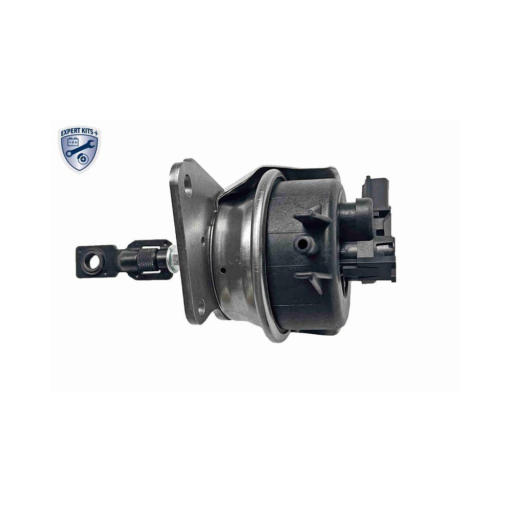 Steuerdose, Lader VEMO V10-40-0005 EXPERT KITS + f&uuml;r VW VAG