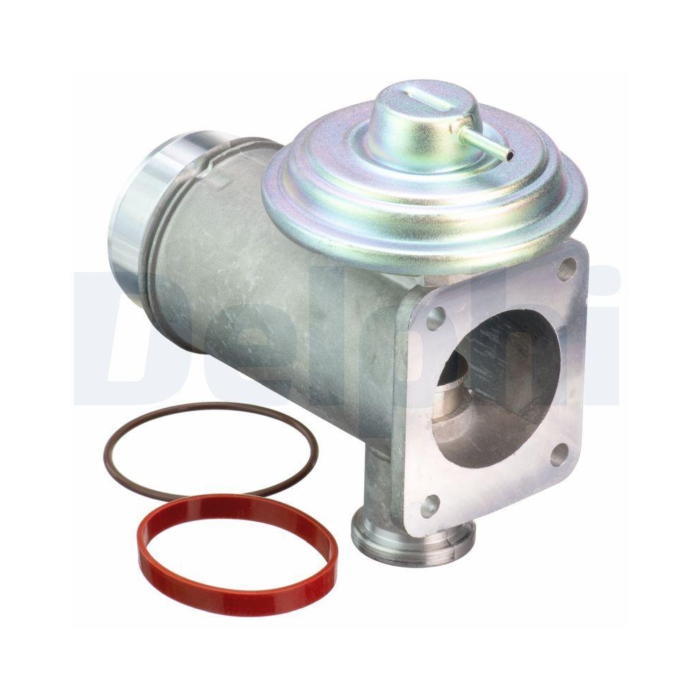 DELPHI EG10466-12B1 AGR-Ventil f&uuml;r BMW