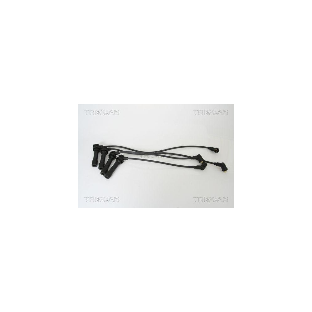 Z&uuml;ndleitungssatz TRISCAN 8860 50002 f&uuml;r