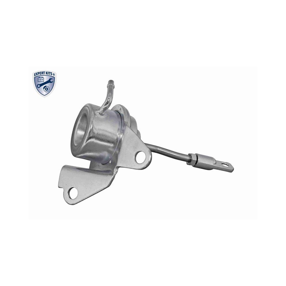 Steuerdose, Lader VEMO V22-40-0009 EXPERT KITS + f&uuml;r CITRO&Euml;N FIAT FORD MAZDA